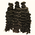 Raw Vietnamese Burmese Curl Bundles